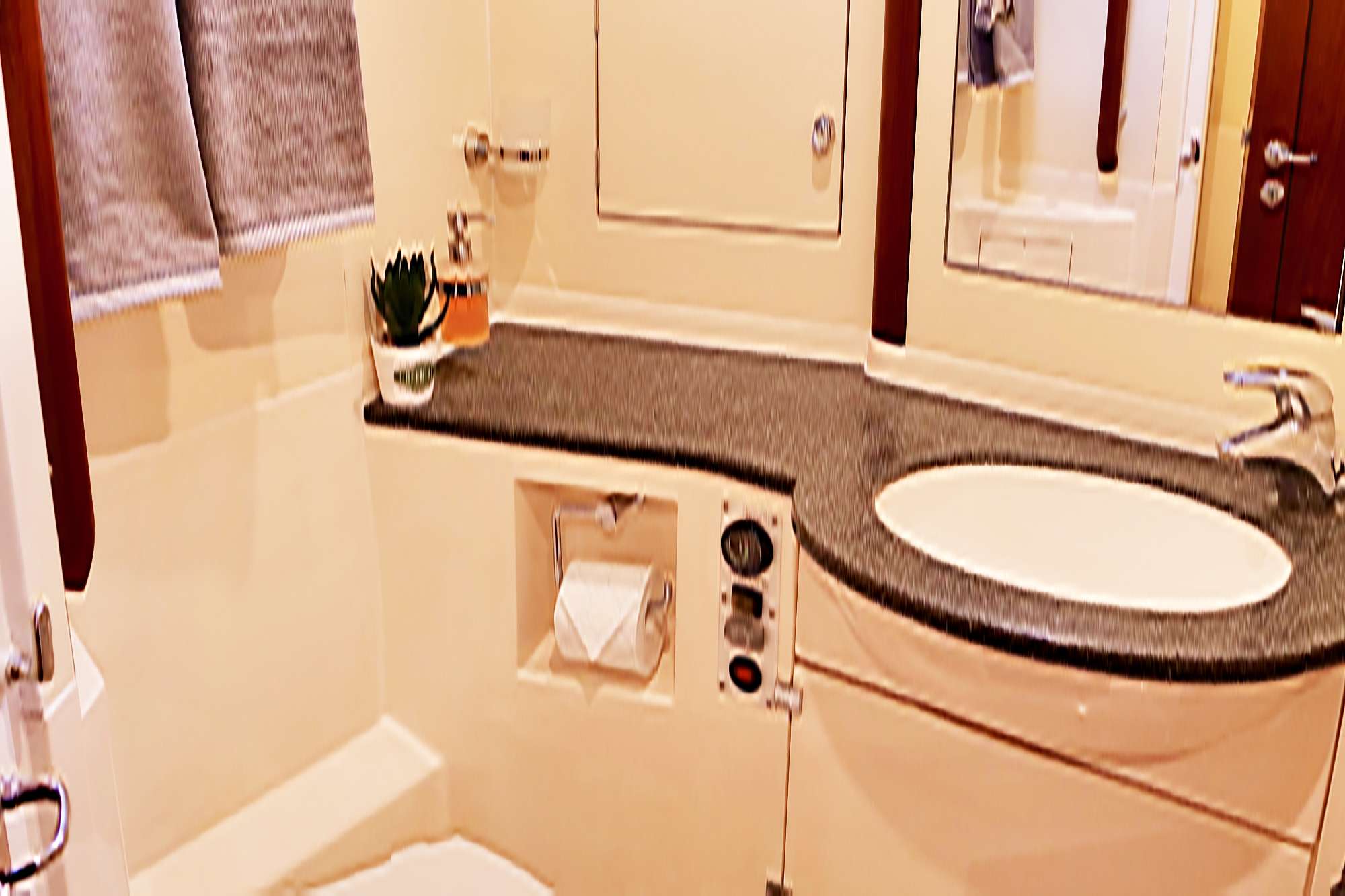 ensuite head.jpg
