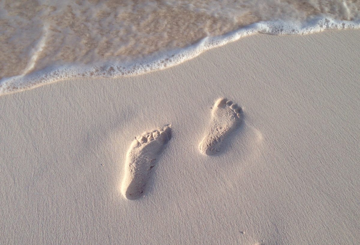 feet.jpg