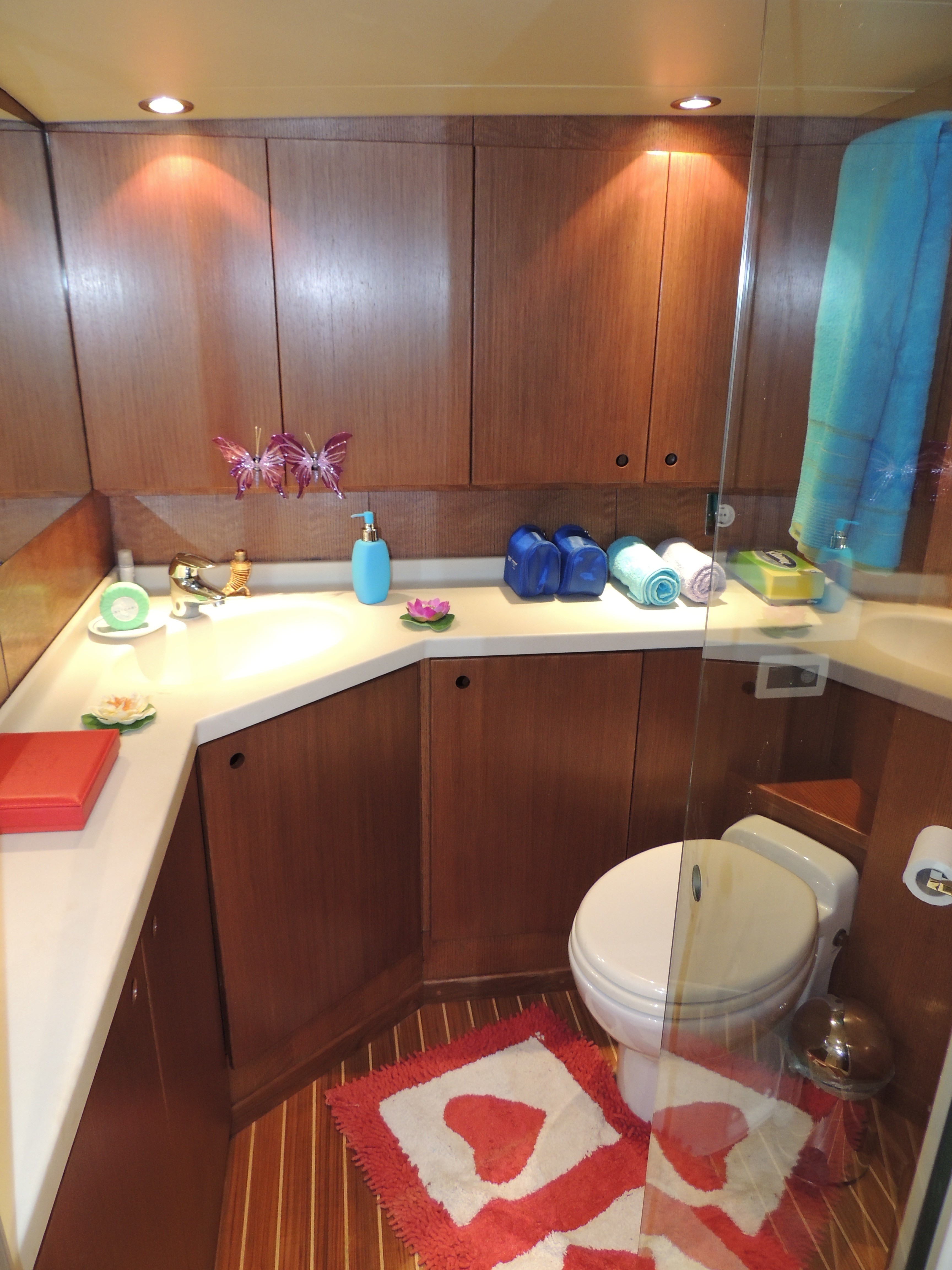 [29m-Yacht-NOSTROMO]-9496-28.jpg