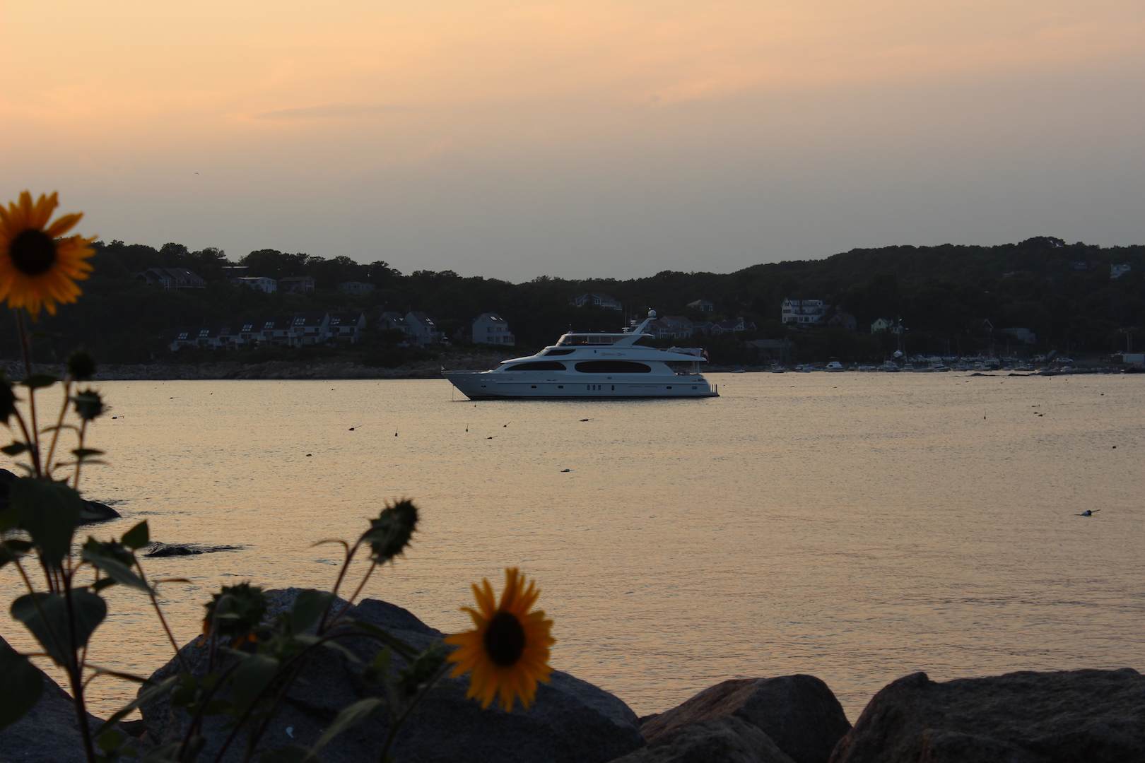 [MOTOR-YACHT-CARBON-COPY]-9211-28.jpg
