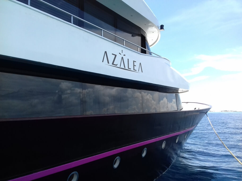 [MY-AZALEA]-9999-17.jpg