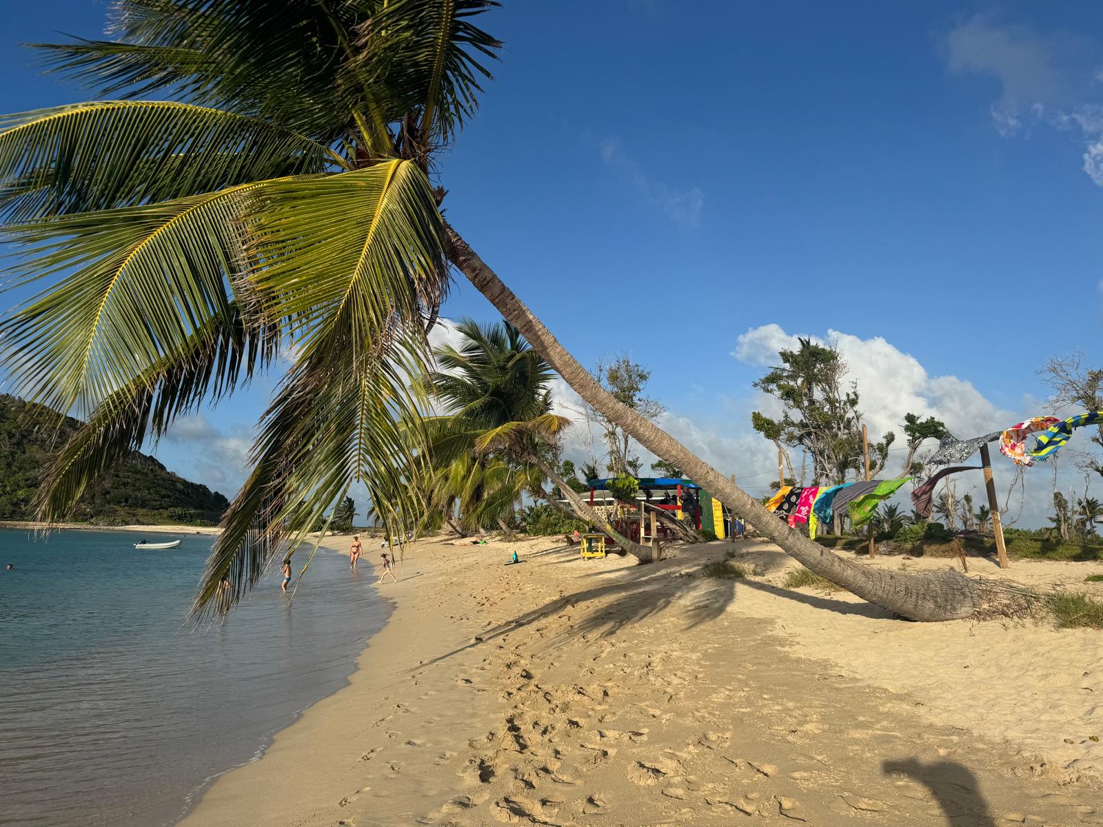 Caribbean vacations with LIR.jpg