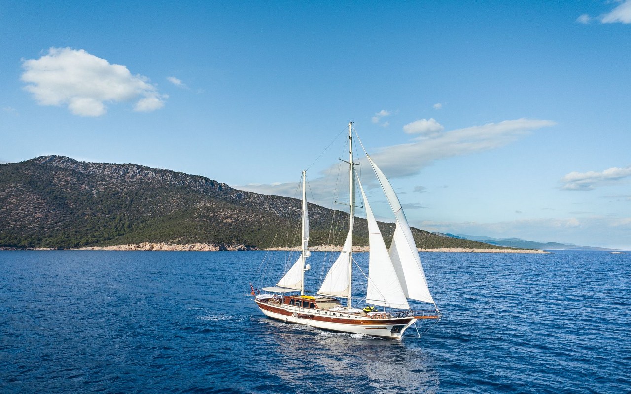 Estrella de Mar.jpg