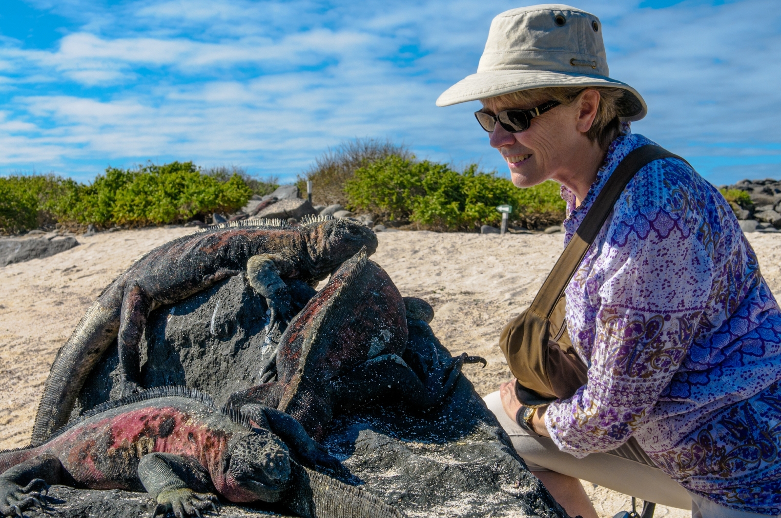 Galapagos-Sea-Star-Journey-Guest-meeting-with-guana-lizards.jpg