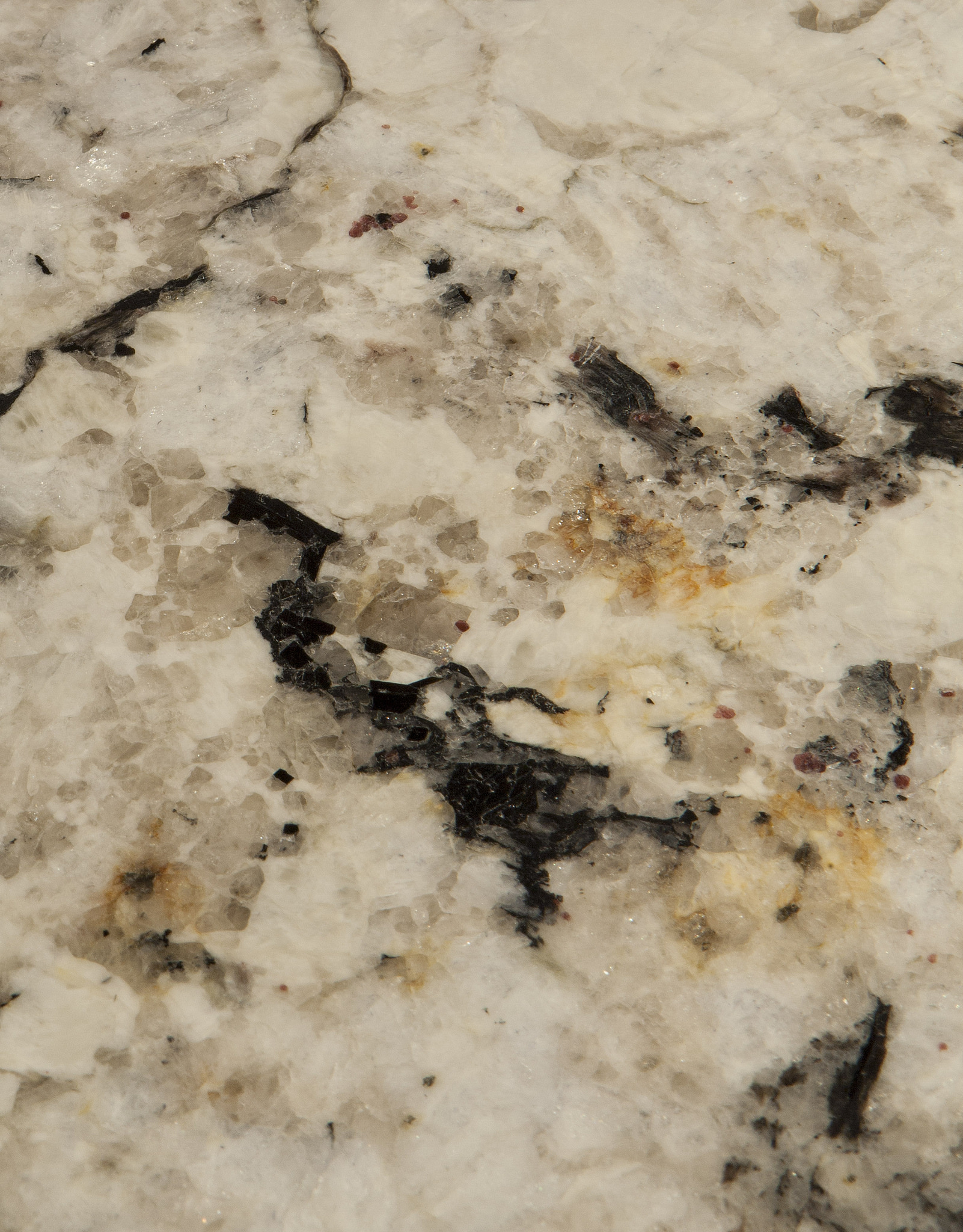 Interior - Details00013.jpg