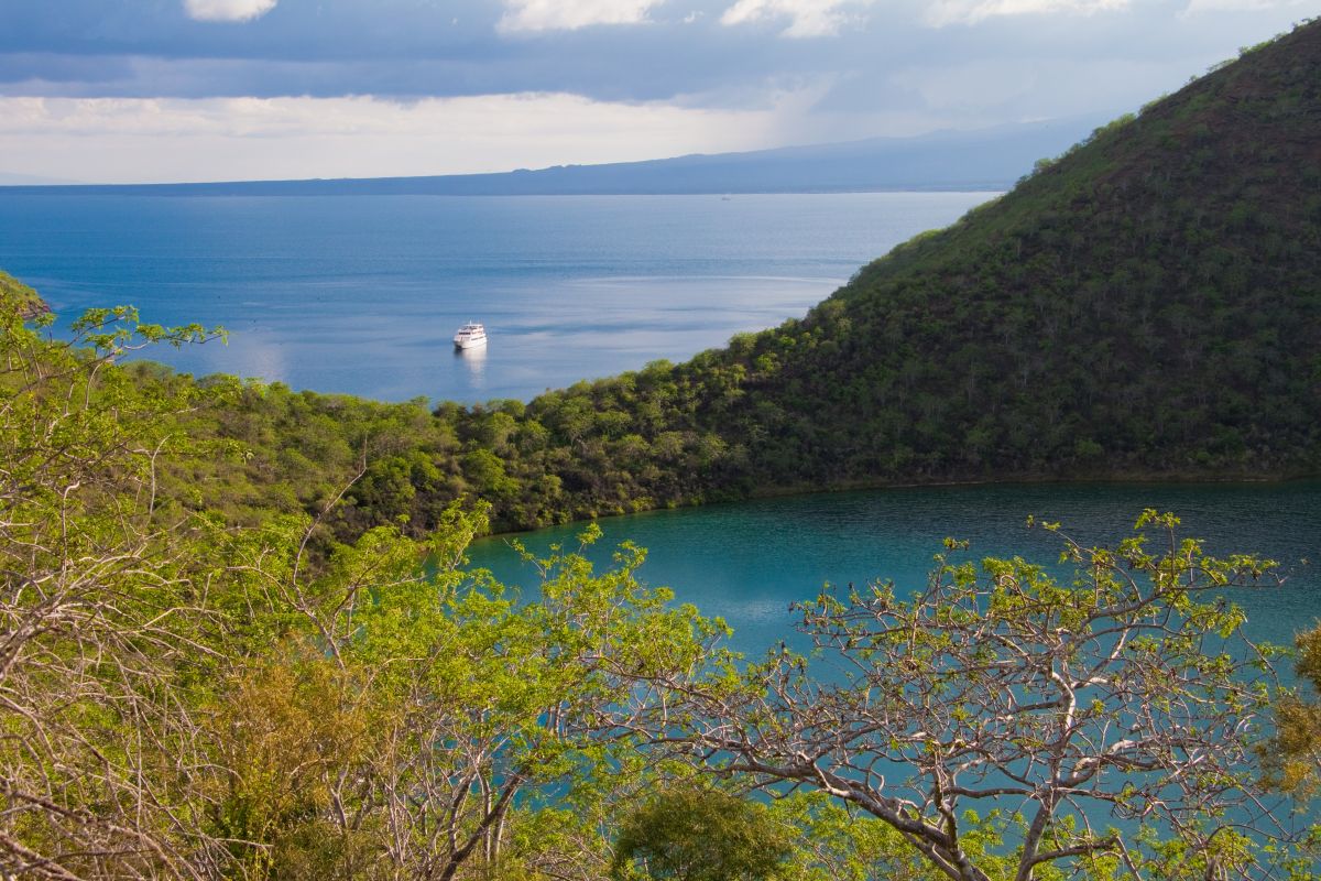 MY-Galapagos-Grand-Odyssey-Ecuador.jpg