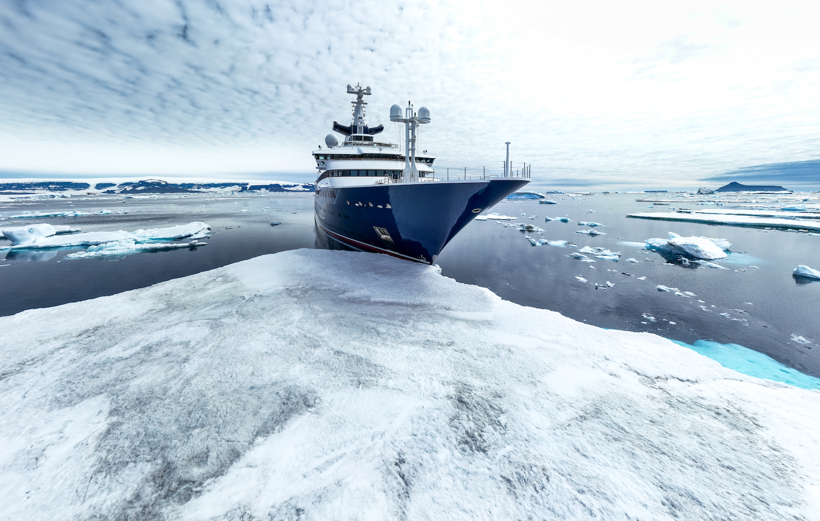 Octopus in the ice of Antarctica.jpg