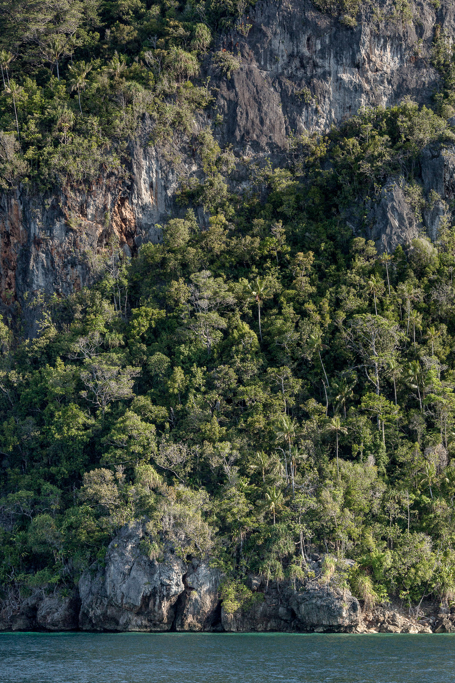 Raja Ampat  .jpg