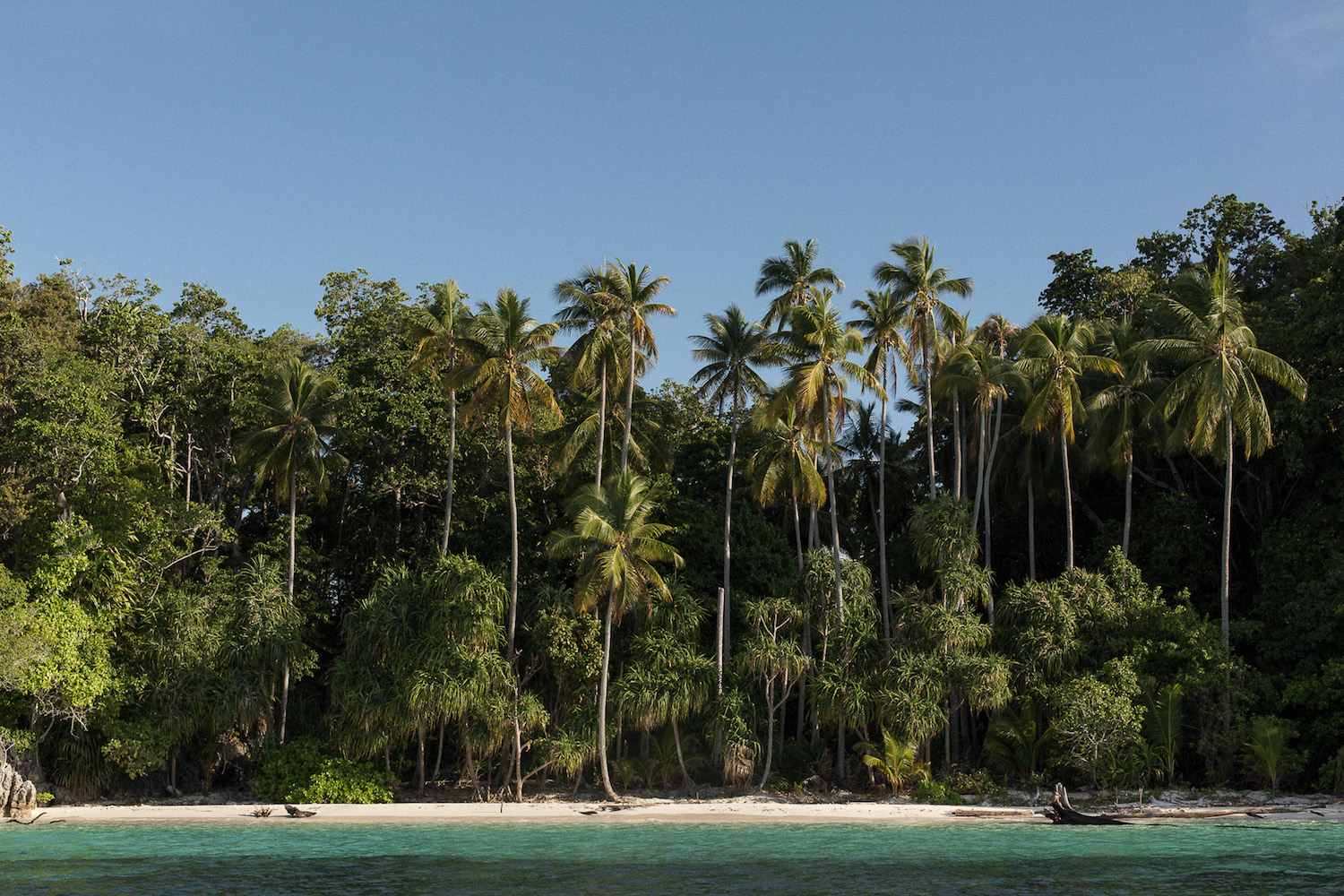 Raja Ampat beach .jpg