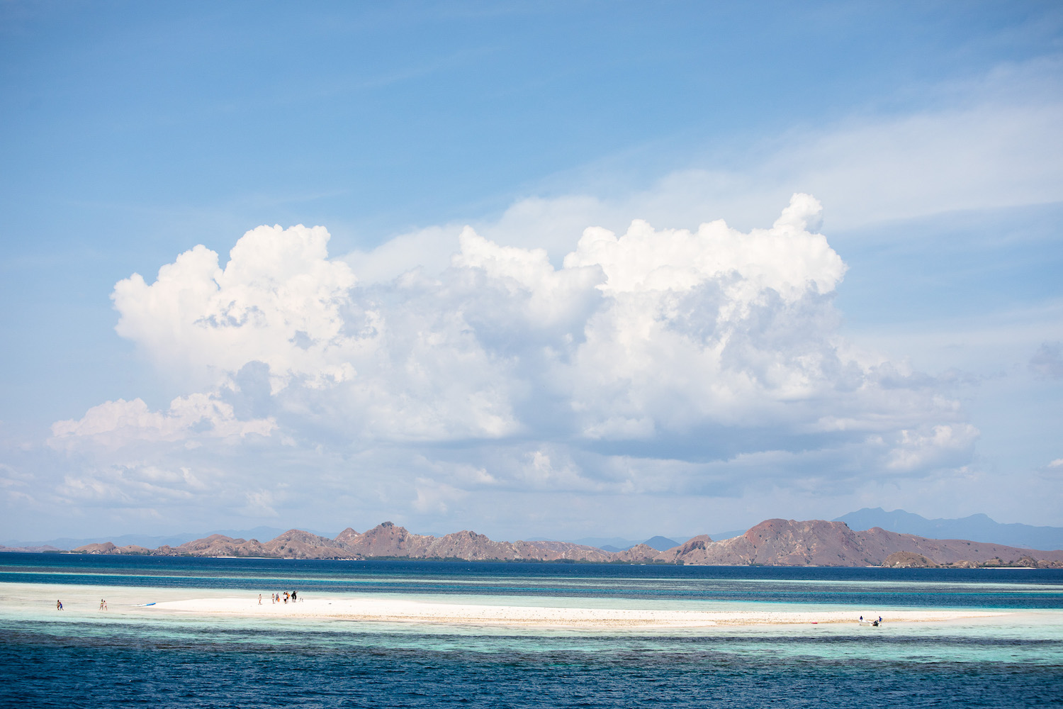 Sandbar (Takamakasar) Komodo .jpg