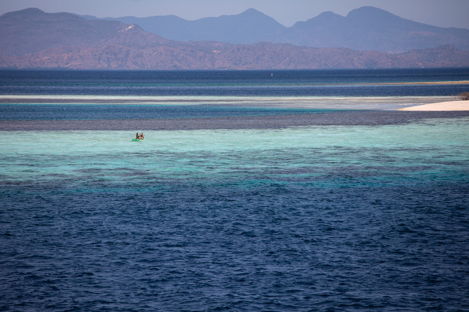 Sandbar (Takamakasar) Komodo. .jpg