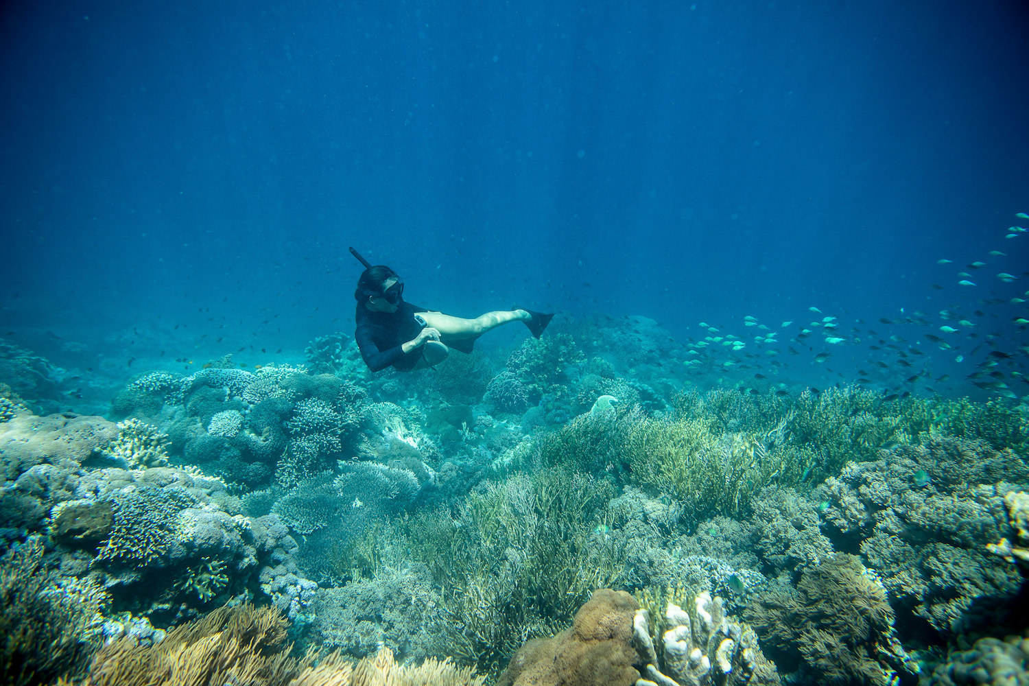 Snorkelling.jpg
