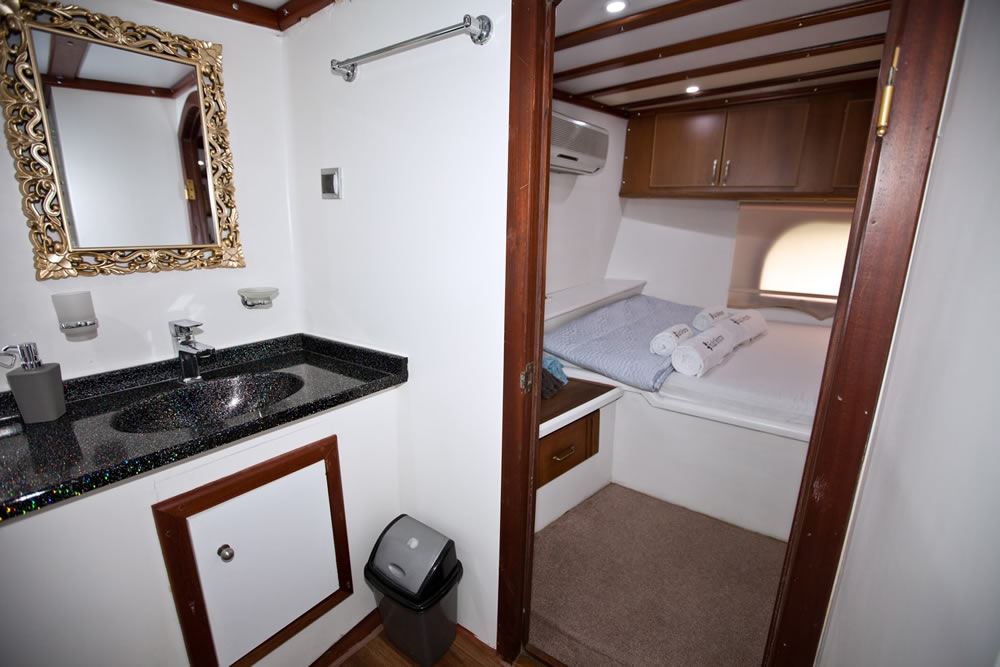 ensuite with cabin.jpg