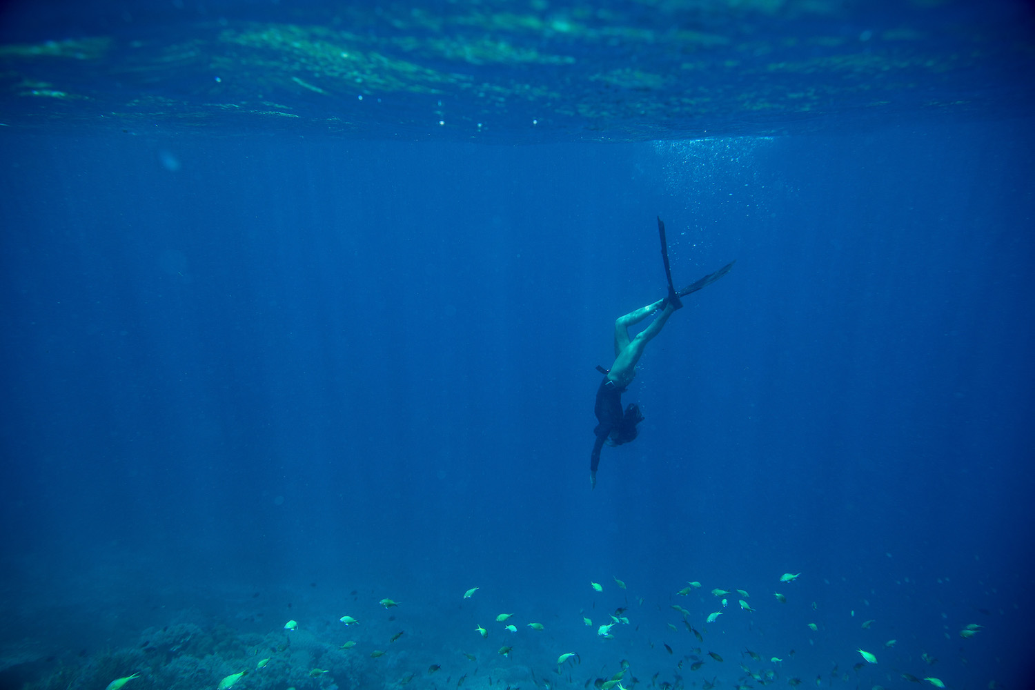 free diving in indonesia.jpg