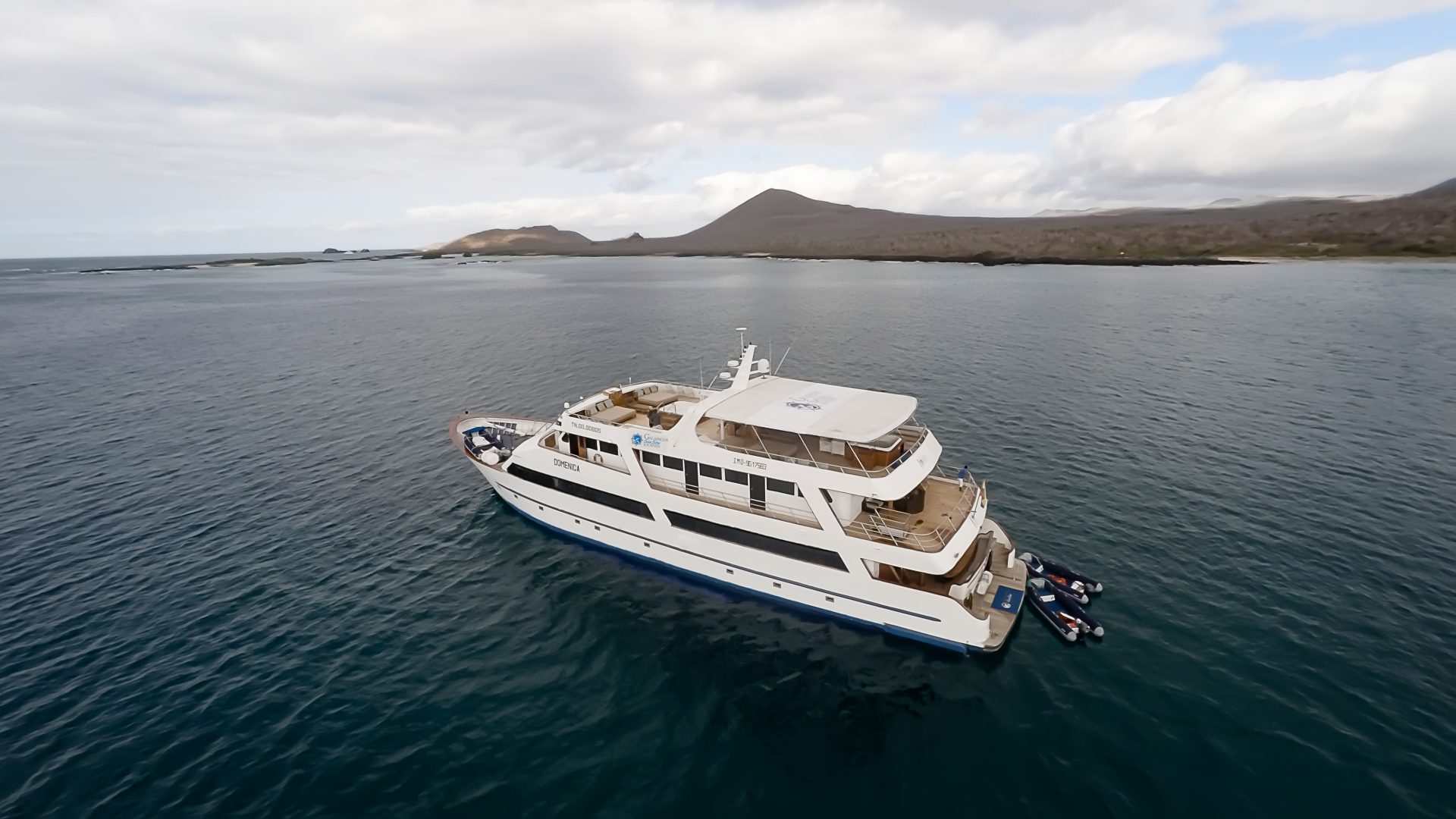 galapagos-sea-star-journey.jpg