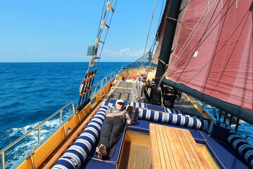 ADELAAR - Under sail view.jpg