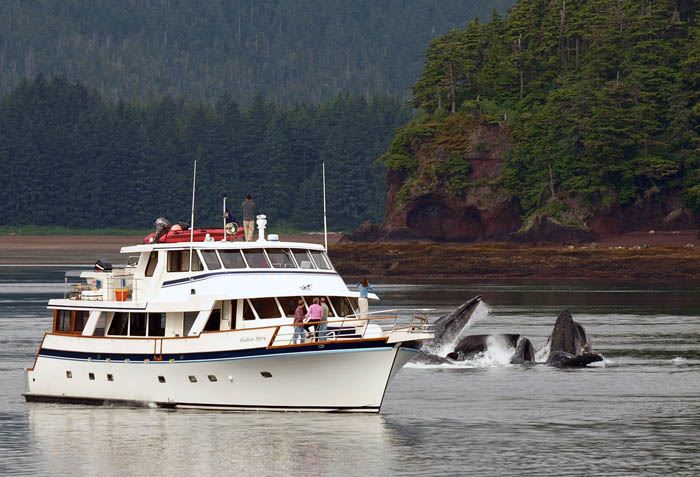 ALASKAN STORY - Main.jpg