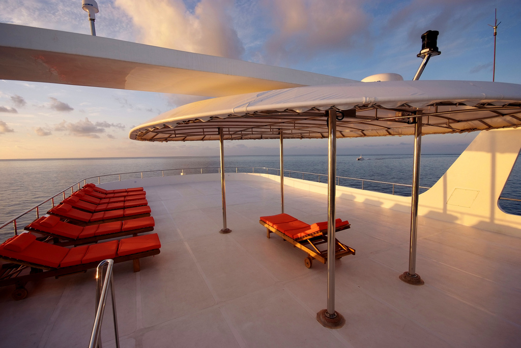 ARK ROYAL Sundeck.jpg