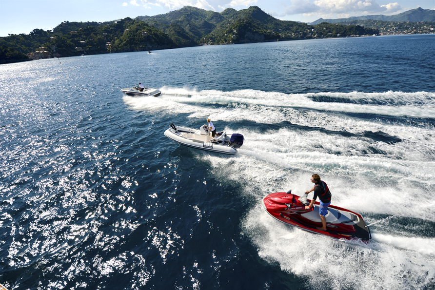 ATLANTIC GOOSE -  Water Sport Toys.jpg