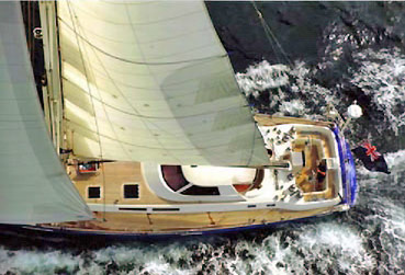 Aglaia from above.jpg