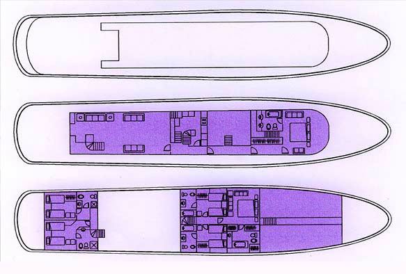 Alexandra K -  Layout.jpg