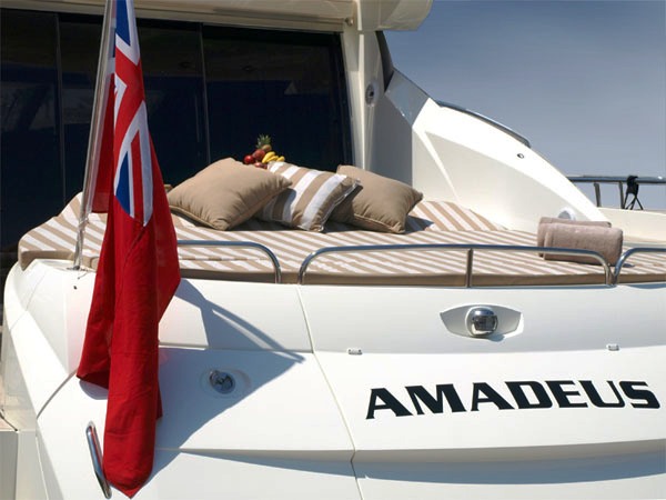 Amadeus -  Sunpads.jpg