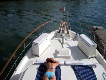 Analisa - Bow.jpg