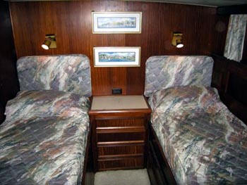 Analisa - Convertable Twin.jpg