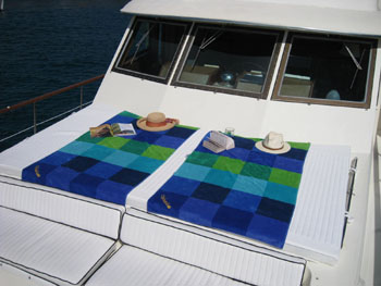 Analisa - Sunbathing area.jpg