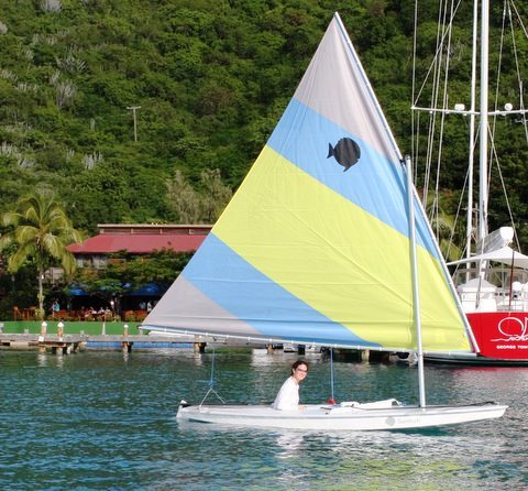 Aquarius -  Sunfish.jpg