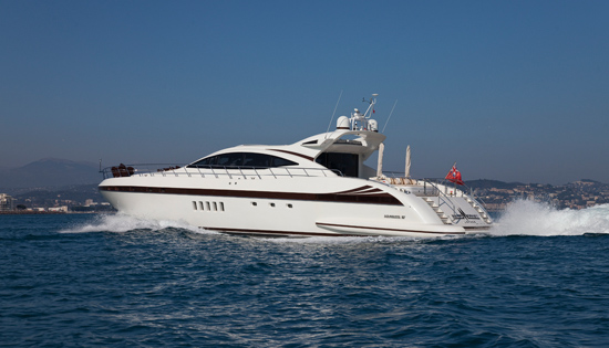 BEAR MARKET -  Cruising.jpg