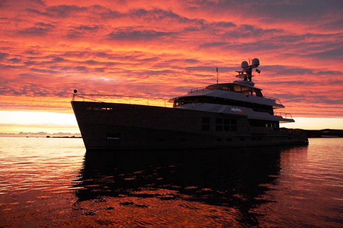 BIG FISH - Sunset.jpg