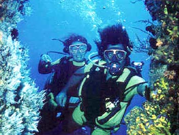 Belline II - Diving.jpg