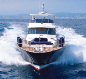 Bibo - Bow.jpg