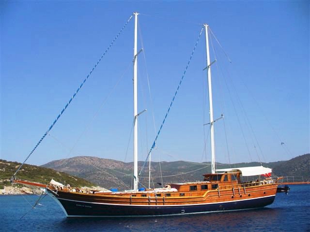 Burc-u Zafer Main Profile.jpg