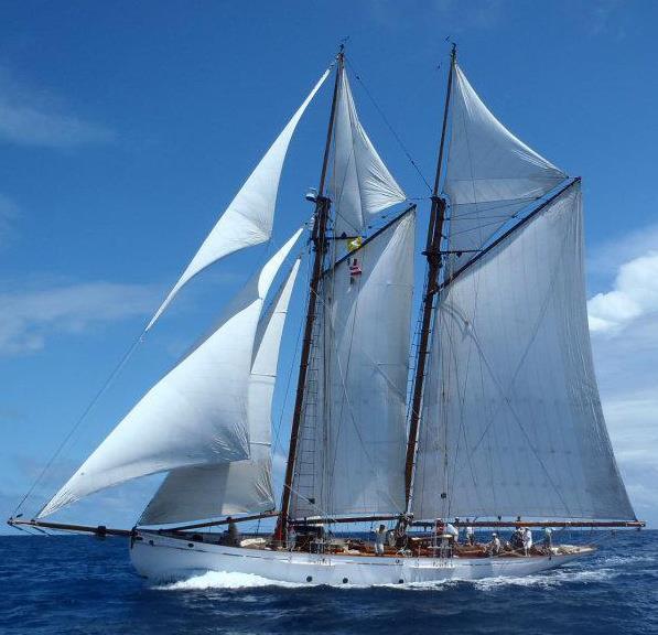 CORAL OF COWES -  Main.jpg