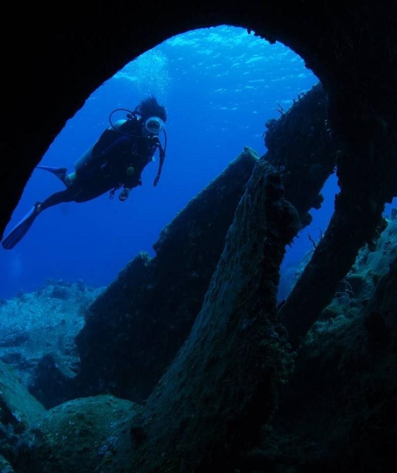 CUAN LAW - Diving.jpg
