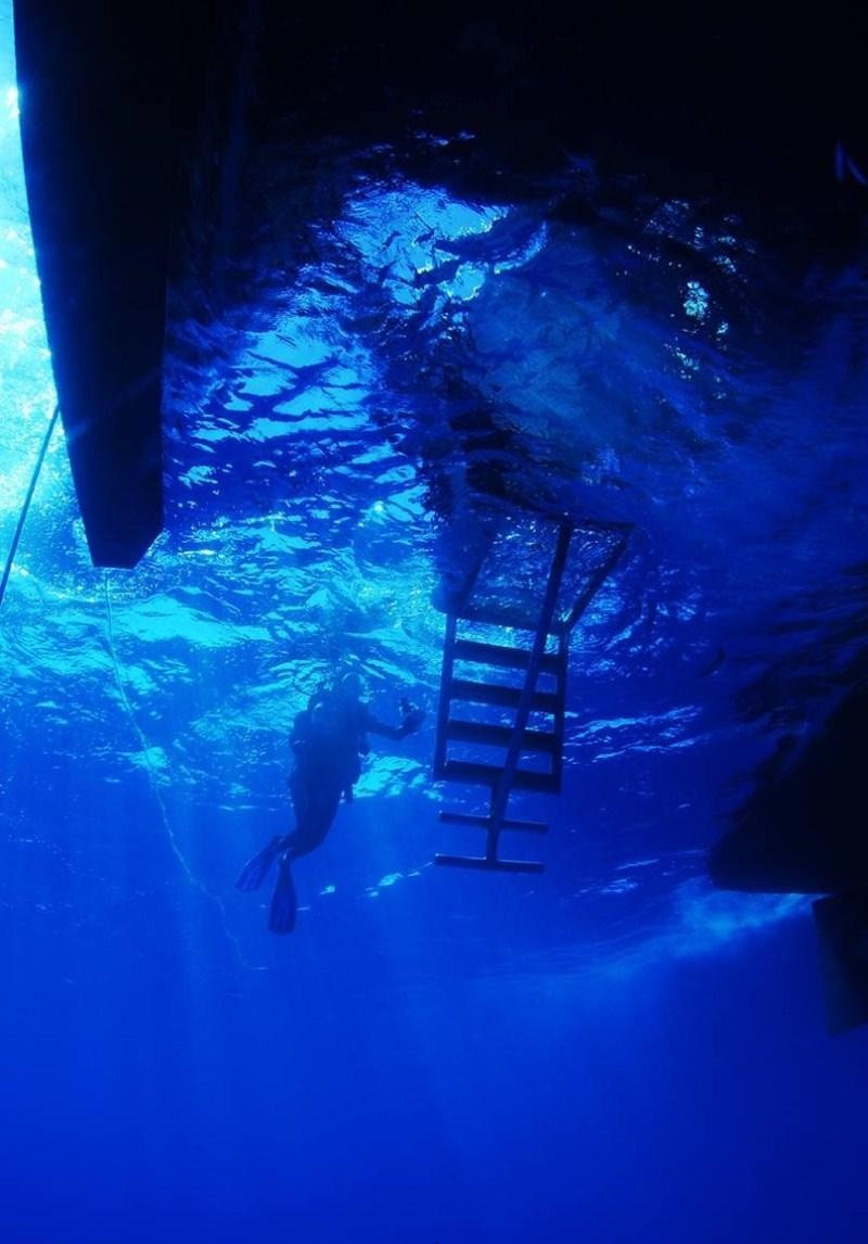 CUAN LAW - Scuba view.jpg