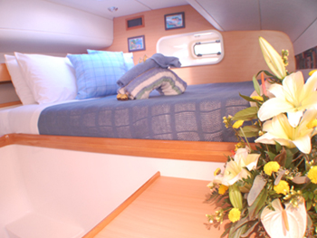 Caribbean Dream - Aft Guest Stateroom.jpg