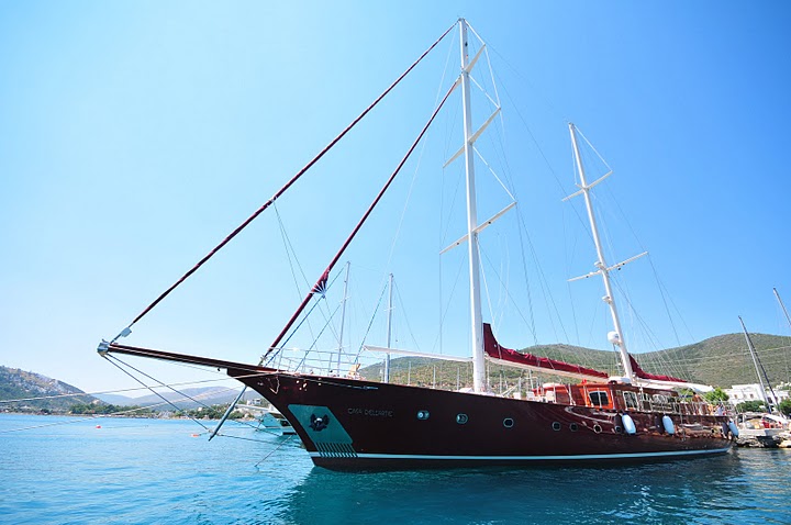 CasaDell Arte II -  Profile.jpg