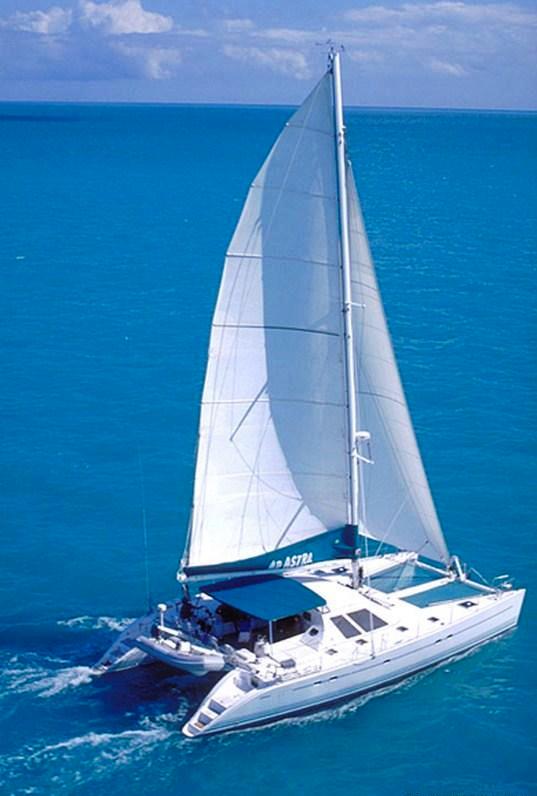 Cat AD ASTRA -  On Charter.jpg