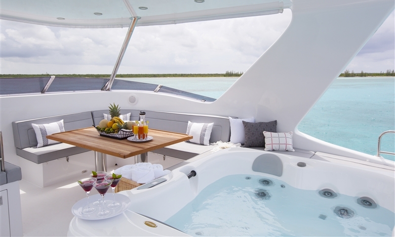 Cat FOREVER -  Flybridge Spa Pool.jpg