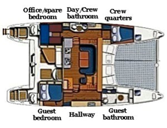 Cat GENESIS - Layout.jpg