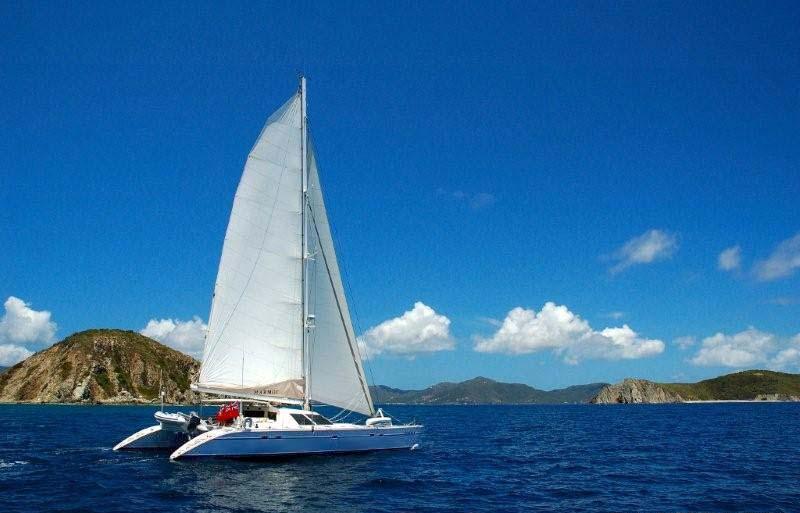 Cat MARMOT -  Sailing.jpg