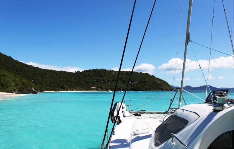 Cat SECRET OASIS -  In the Carribean.jpg