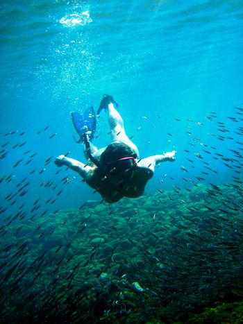 Cat SOTERION -  Diving in the Caribbean.jpg