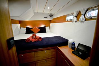 Cat SOTERION -  King Cabin.jpg