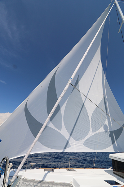 Catamaran LOTUS - Sailing.jpg