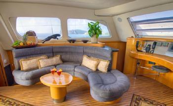 Catamaran SEA LEOPARD -  Salon.jpg