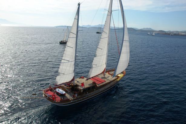 Cobra Queen -  Sailing.jpg